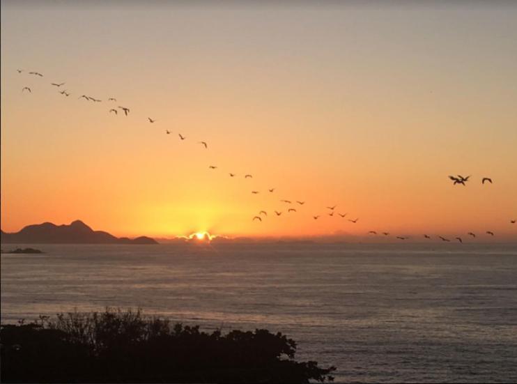 Vidigal Hostel Barリオデジャネイロ エクステリア 写真